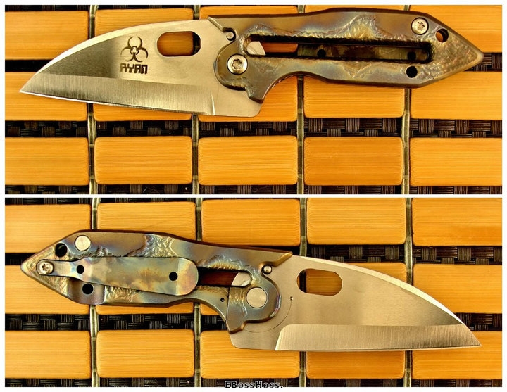 Steve Ryan Prehistoric Ant